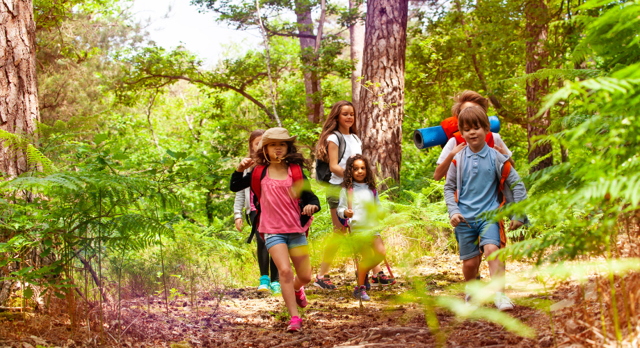 Group Activities